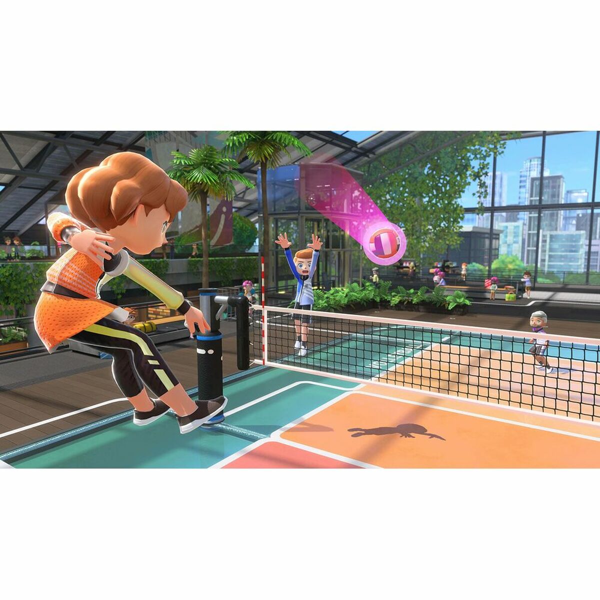 Video igra za Switch Nintendo SPORTS